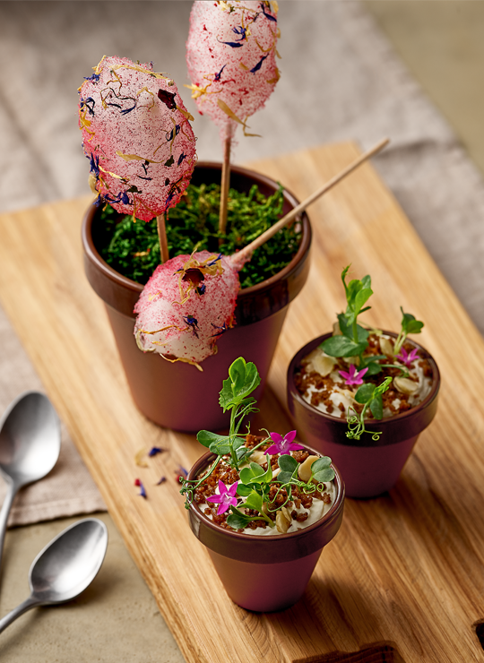 terracotta-flower-pots-playground